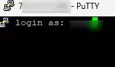 VPS_SSHPuttyLogin.webp