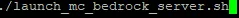 VPS_MCLaunchBedrock.webp