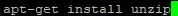VPS_MCInstallUnzip.webp