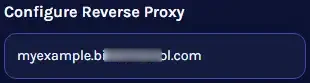 Minecraft_ReverseProxyConfigureRecord.webp