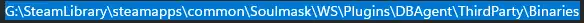 Soulmask_LocalDirBinariesCopy.webp