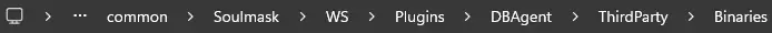 Soulmask_LocalDirBinaries.webp