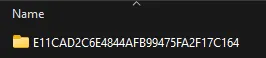Windrose_CustomSettings_LocalFolder.webp