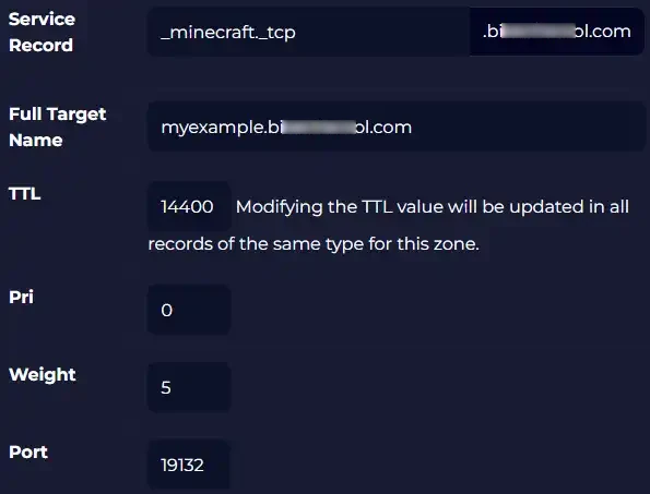 Games_SRVRecordExample.webp