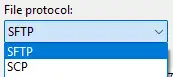 WebH_WinSCPFileProtocol.webp