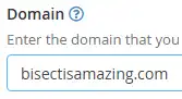 WebH_DomainEnter.webp