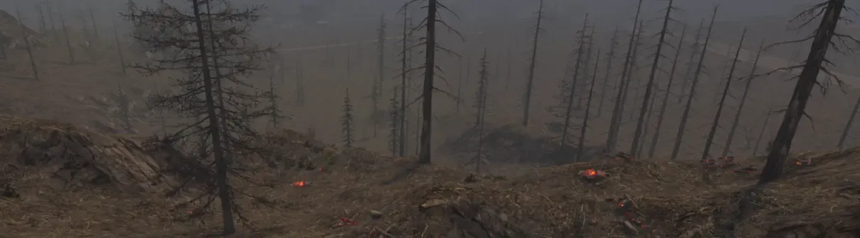 7D2D_BiomeProgression_BurntForest.webp