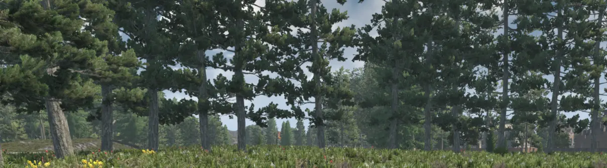 7D2D_BiomeProgression_PineForest.webp