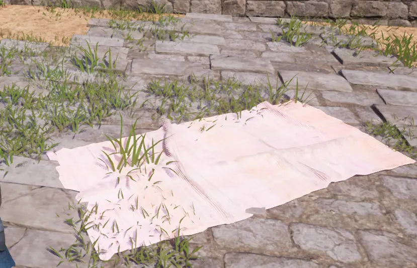 Palworld_ZoeBlanket.webp