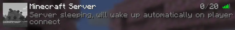 Starcatcher_SleepingMinecraftServer.webp