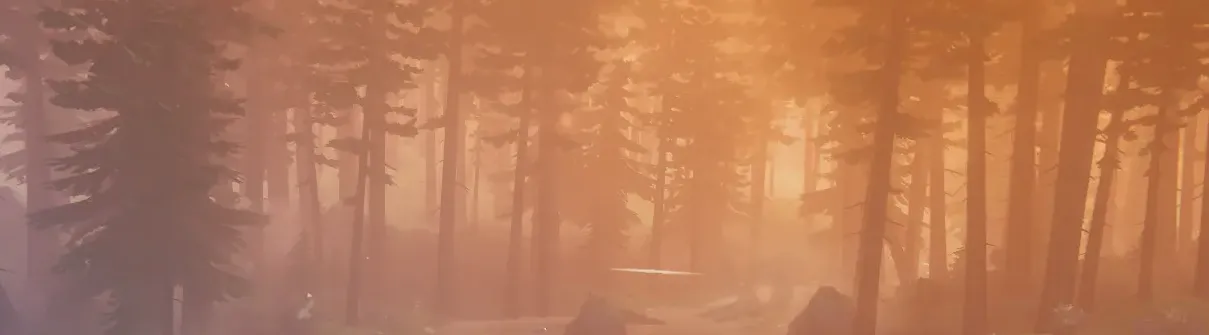 Valheim_Biomes_BlackForest.webp
