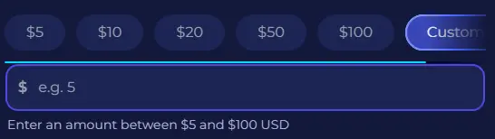 Billing_DonationsCustomAmount.webp